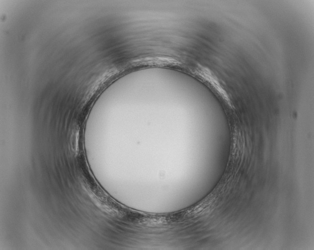 X0000087390110200704200938