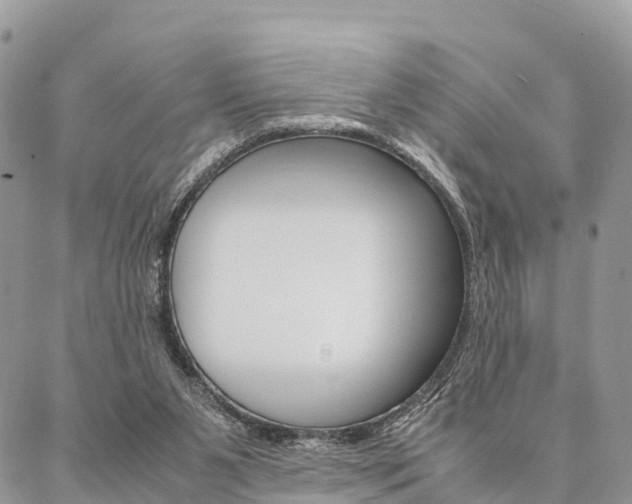 X0000087390111200704200937