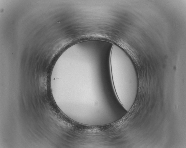 X0000087390112200704200937