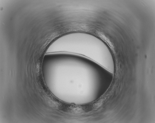 X0000087390113200704200937