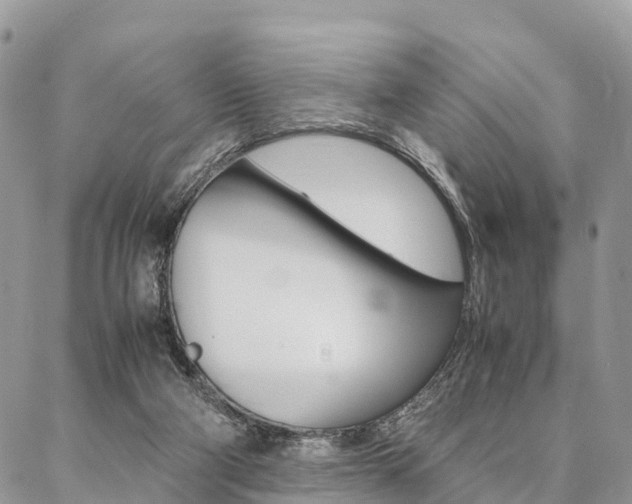 X0000087390114200704200937