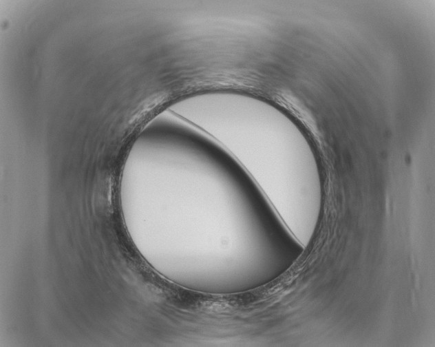 X0000087390115200704200937