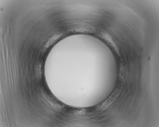 X0000087390116200704200937