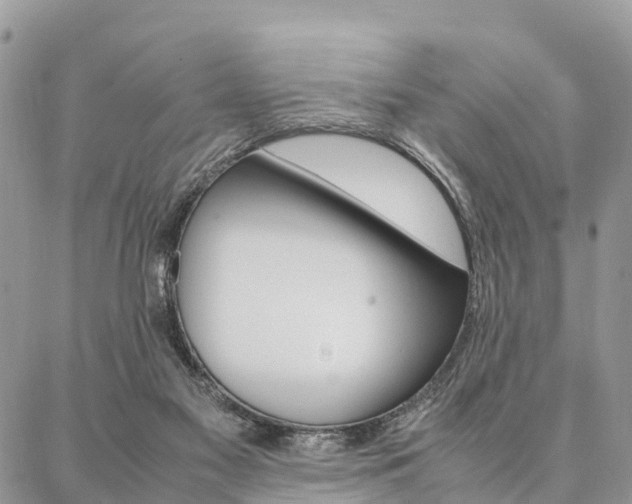 X0000087390117200704200937