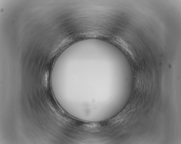 X0000087390118200704200937