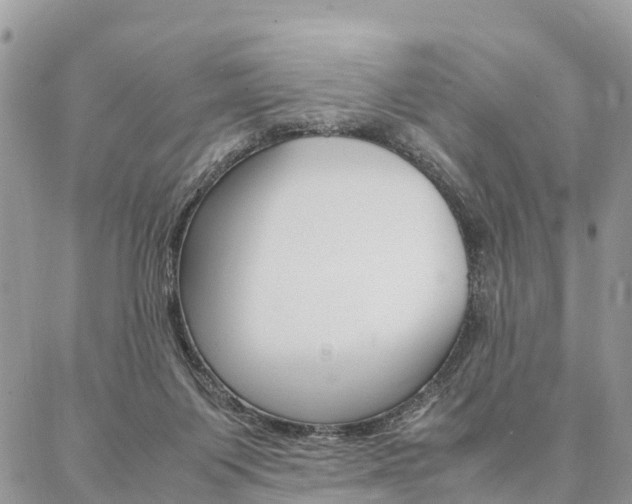 X0000087390119200704200937