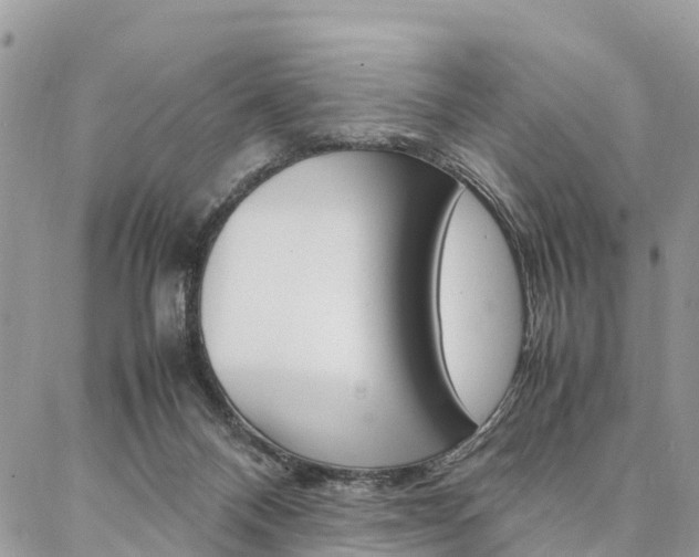 X0000087390120200704200937