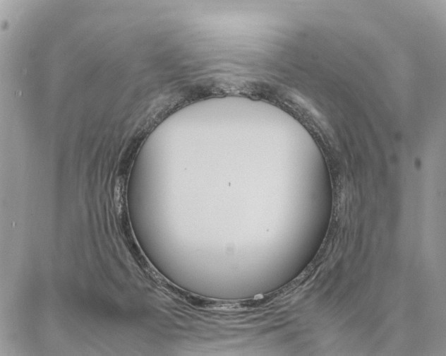 X0000087390121200704200937