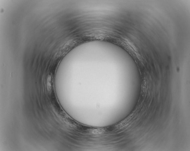 X0000087390122200704200937