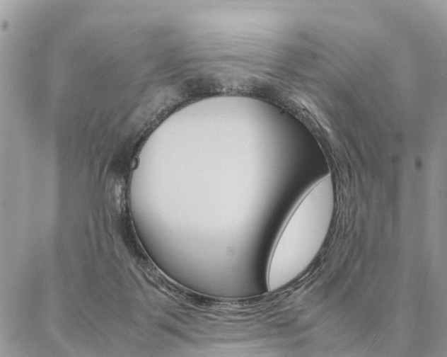 X0000087390123200704200937