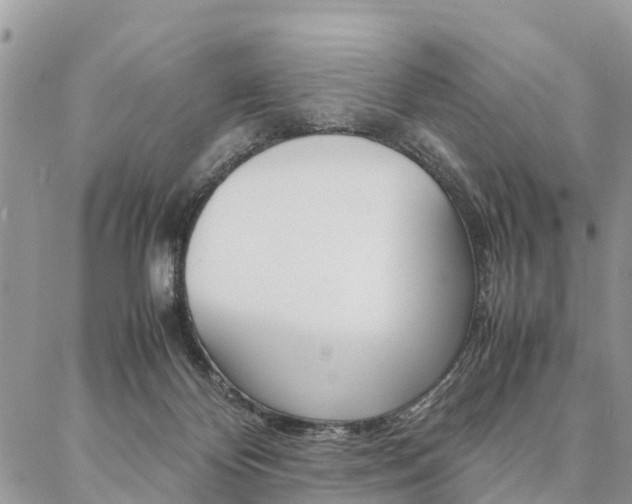 X0000087390124200704200937