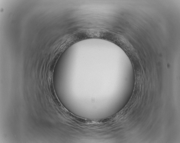 X0000087390125200704200937