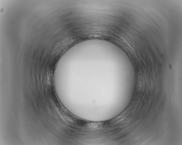 X0000087390126200704200937