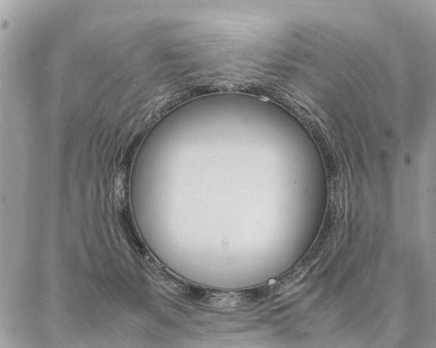 X0000087390127200704200937