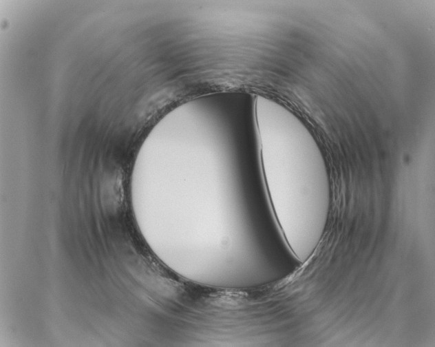 X0000087390128200704200937