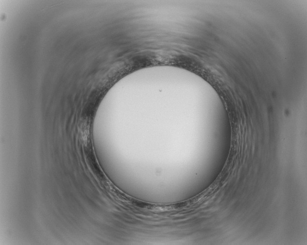 X0000087390129200704200937