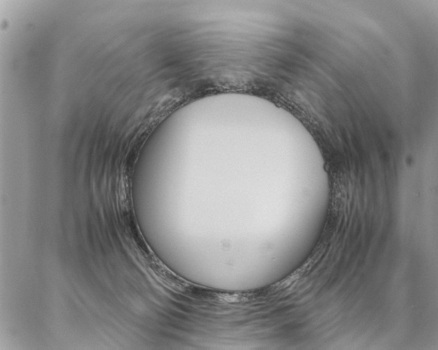 X0000087390130200704200937