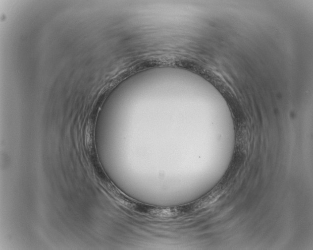 X0000087390131200704200937