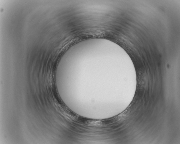 X0000087390132200704200937