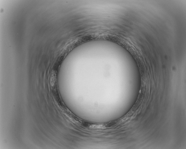 X0000087390133200704200937