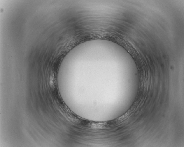 X0000087390134200704200937