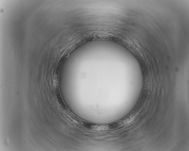 X0000087390135200704200937