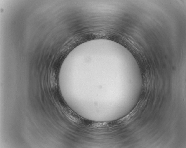 X0000087390136200704200937