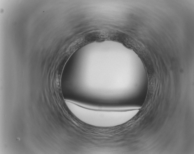 X0000087390137200704200937