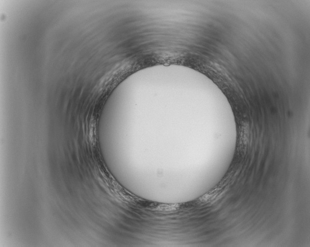 X0000087390138200704200937