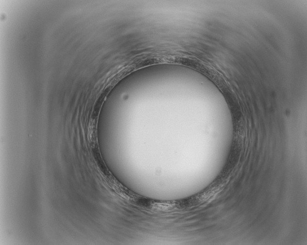 X0000087390139200704200937