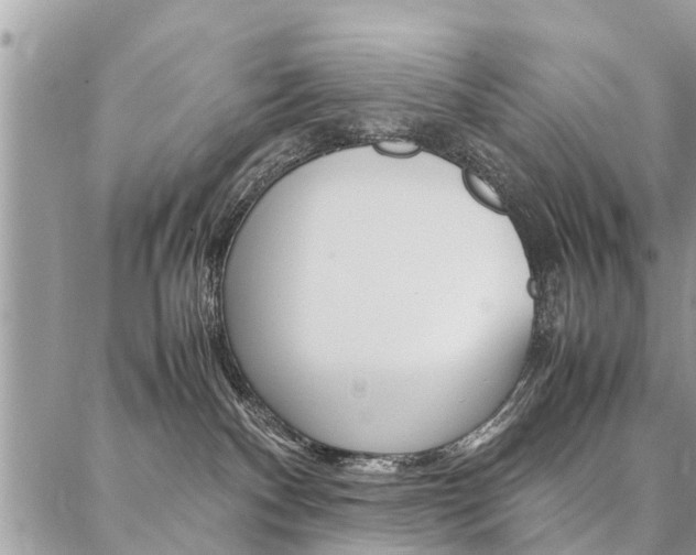 X0000087390140200704200937