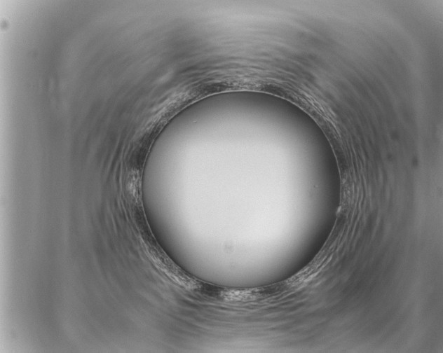 X0000087390141200704200937