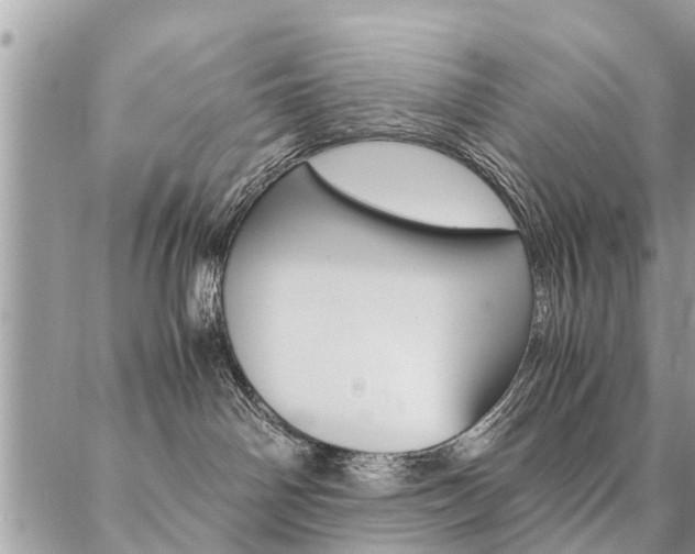 X0000087390142200704200937