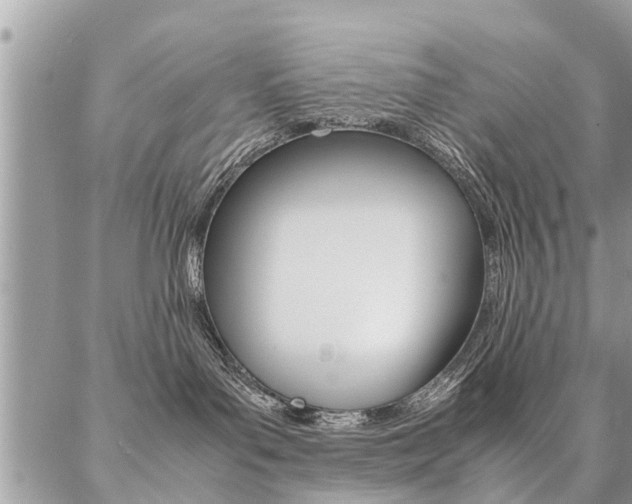 X0000087390143200704200937