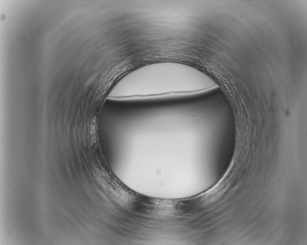 X0000087390144200704200937