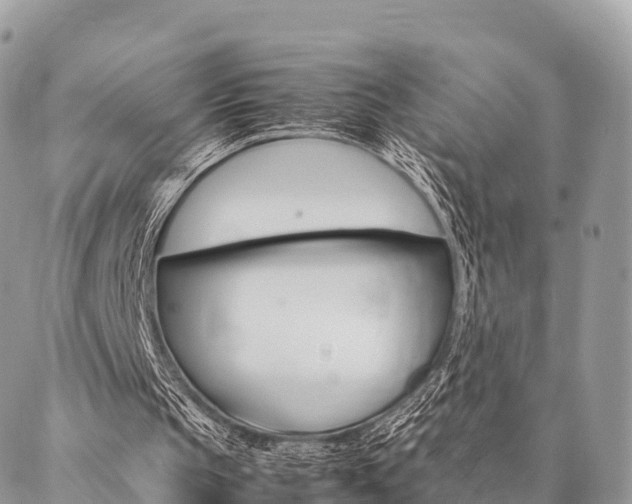 X0000087390145200704200936