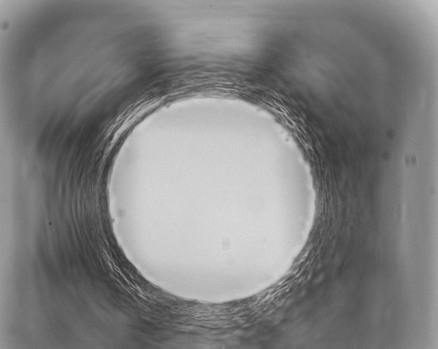 X0000087390146200704200936