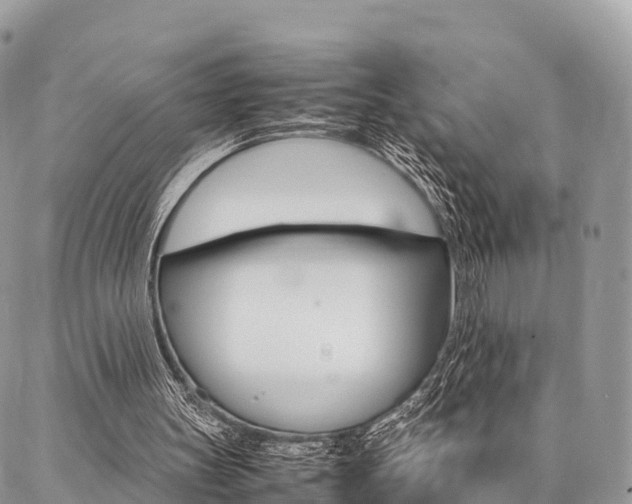 X0000087390147200704200936