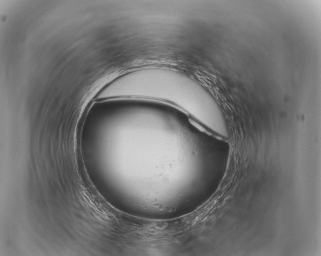 X0000087390148200704200936