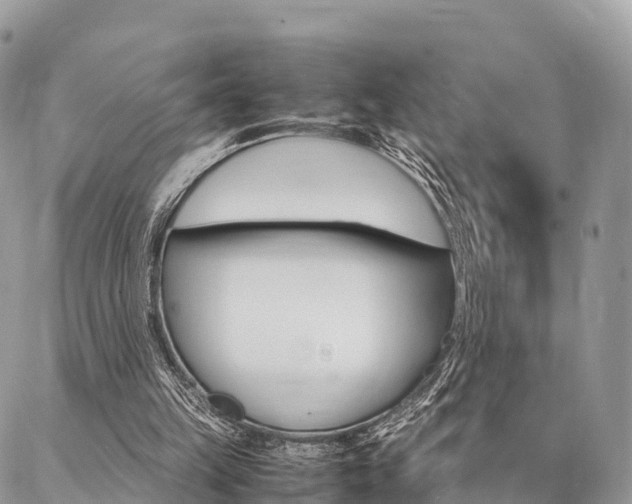 X0000087390149200704200936