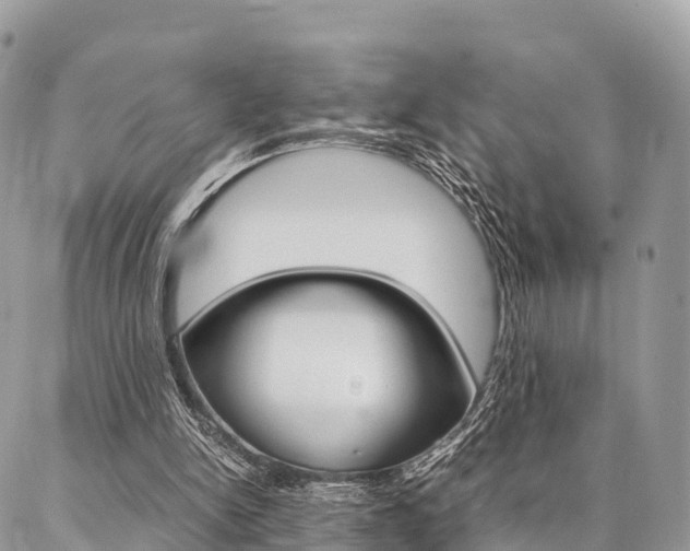 X0000087390150200704200936