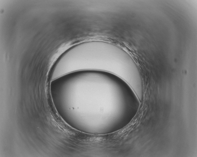 X0000087390152200704200936