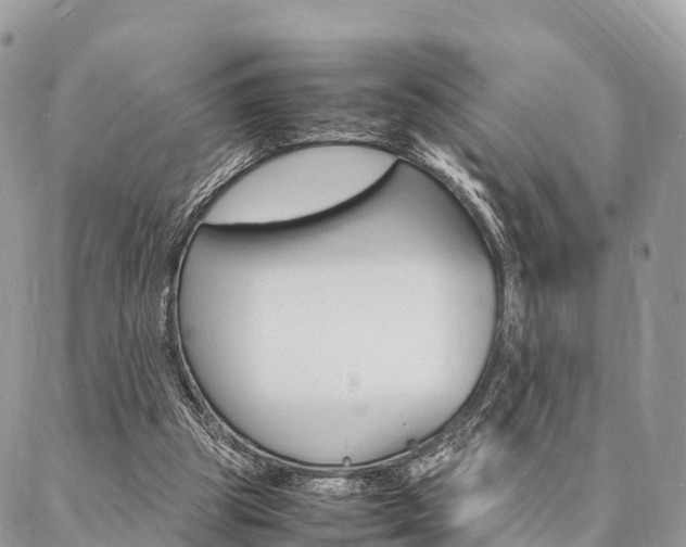 X0000087390153200704200936