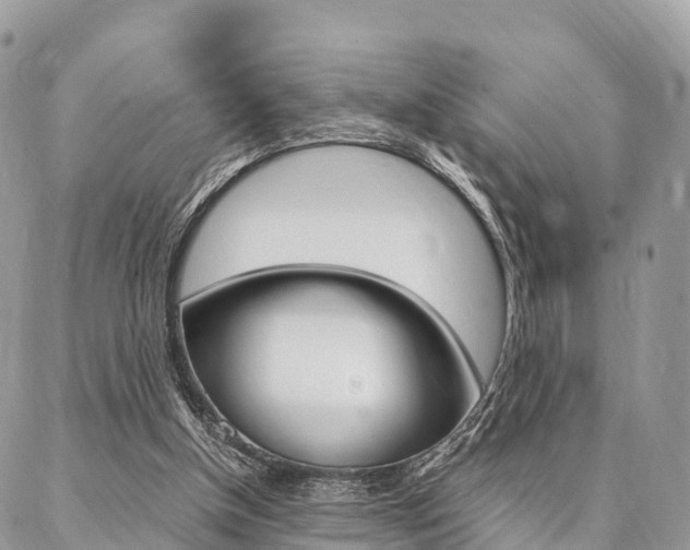 X0000087390154200704200936