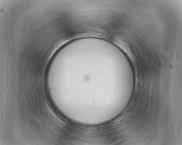 X0000087390156200704200936