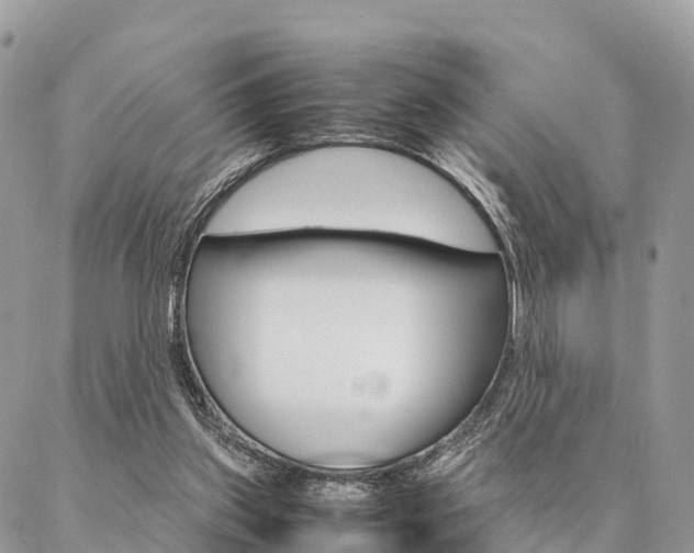 X0000087390157200704200936