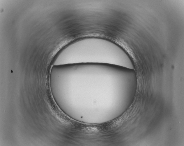 X0000087390159200704200936