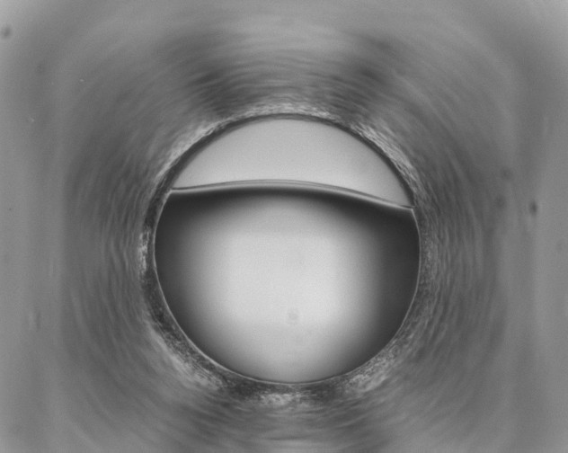 X0000087390160200704200936