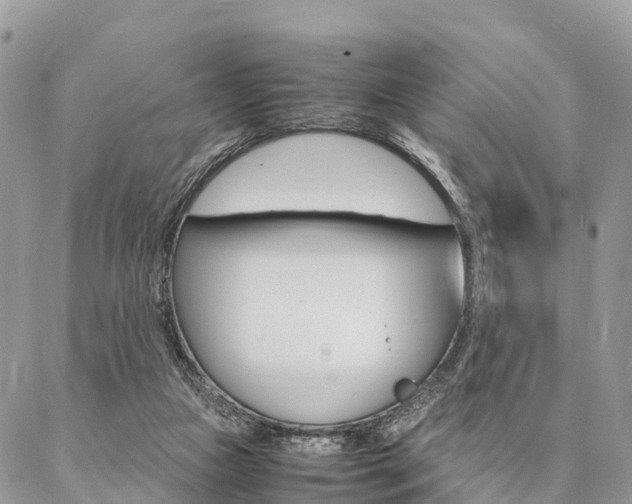 X0000087390161200704200936