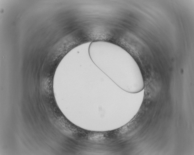 X0000087390162200704200936